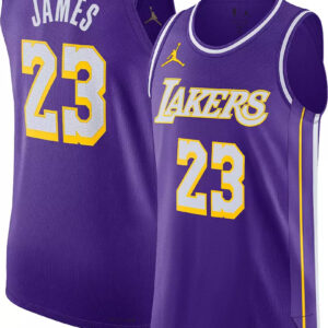 Camiseta de Los Angeles Lakers LeBron James Jordan 2025/26 NBA